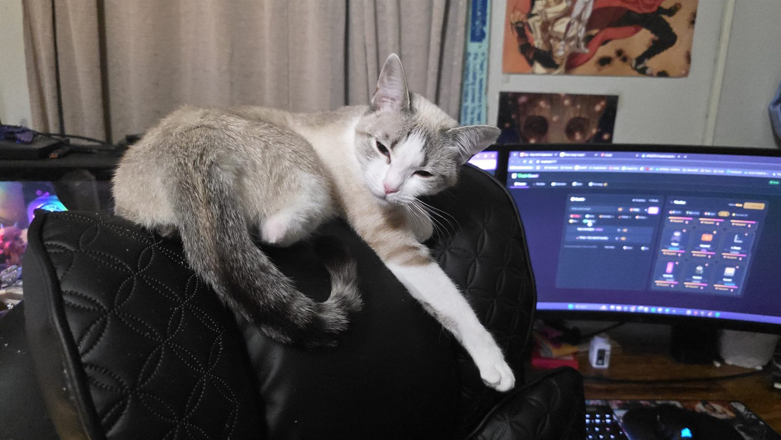 Ghost the cat lounging on a gaming chair in front of the Trash Quest app, supervising the Neurospice workspace